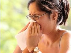 Wissenschaftler schlagen Pollen-Alarm