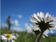 Wettervorhersage: Das bringt uns Tief "Yvi"