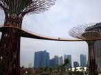 Gardens by the Bay: Botanischer Garten in Singapur eröffnet