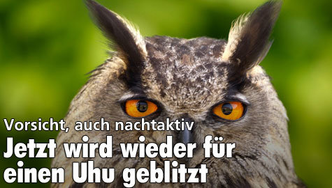 Radarfalle zum Uhu-Schutz geht wieder in Betrieb