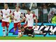 Die Spitznamen der 16 EM-Teams Die Spitznamen der 16 EM-Teams