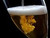 bier bier