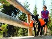 Bergausflug mit Hund: Darauf sollten Herrchen oder Frauchen achten