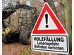 Ast gebrochen - Forstwirt stürzt in den Tod