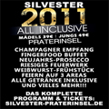 Silvester 2011 